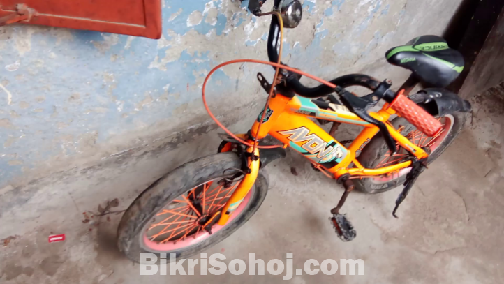 বাইসাইকেল এভন পাঁচ থেকে দশ বছরের বাচ্চার জন্য